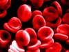 Blood_cells Blood_cells